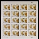 2011 Wedding Rose Forever First Class Postage Stamps