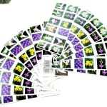 Wild Orchids Forever First Class Postage Stamps3