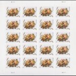 Celebration Corsage Two Ounce Forever First Class Postage Stamps-1