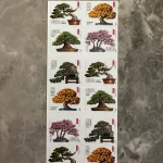 USPS Bonsai Tree Forever First Class Postage Stamps