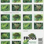 USPS Frogs Forever First Class Postage Stamps- 3
