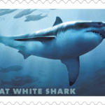 Sharks 2017 Forever Postage Stamps 100 pcs